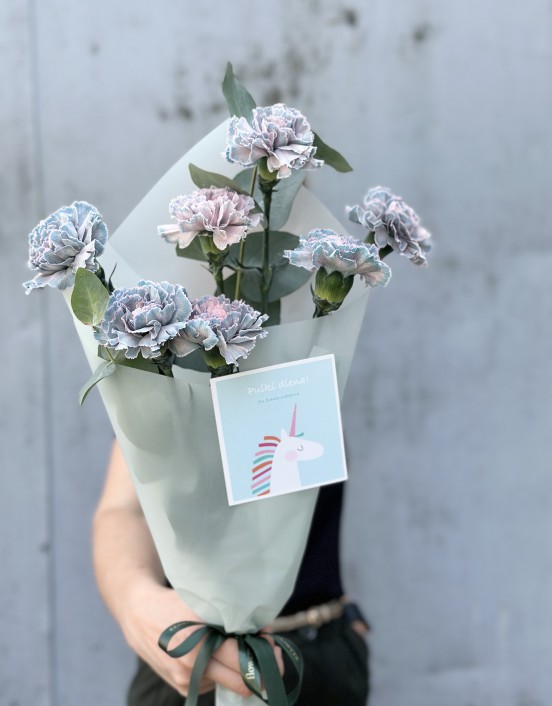 Mėlyni gvazdikai su eukaliptu