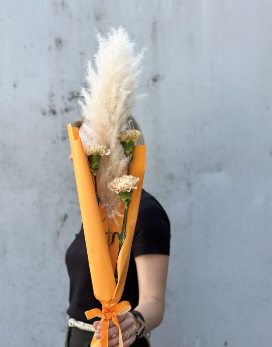 Pampagrasas ir gvazdikai