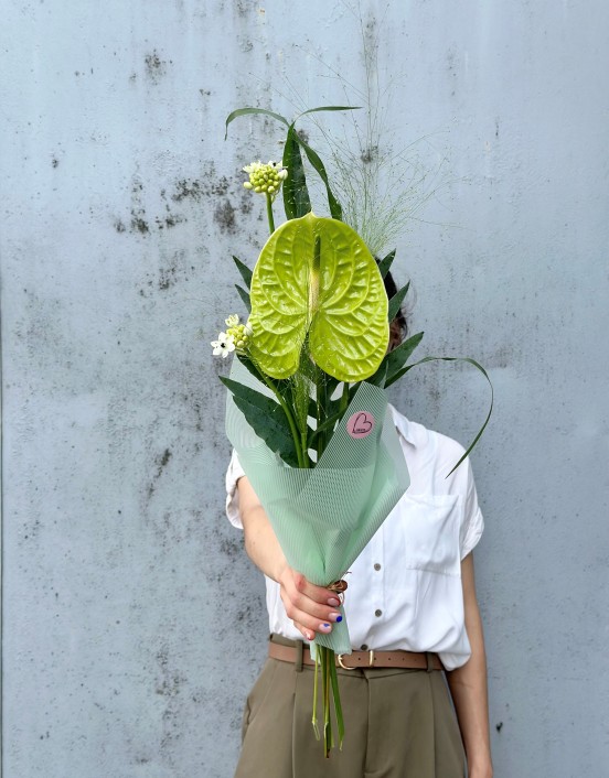 KOMPLIMENTAS SU ANTŪRIU