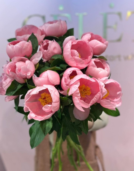 BIJŪNAI PEONIES