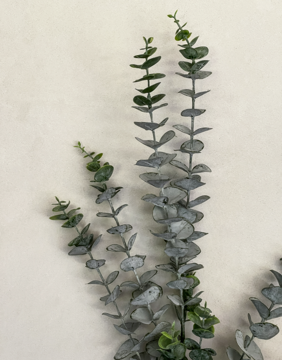 Artificial Eucalyptus