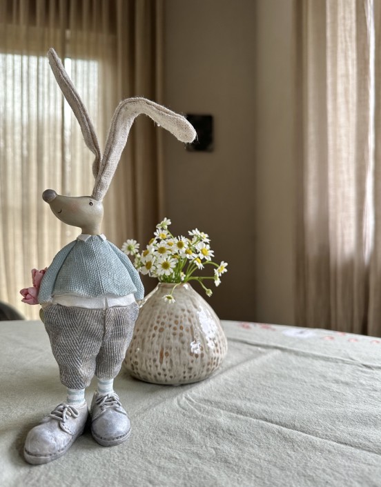 copy of PONAS KIŠKIS